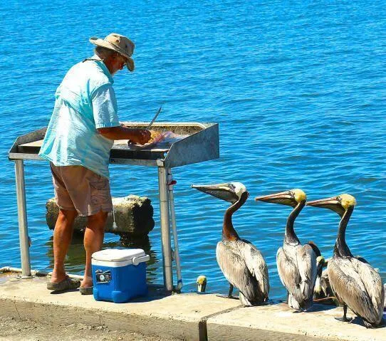 Waiting for Lunch
