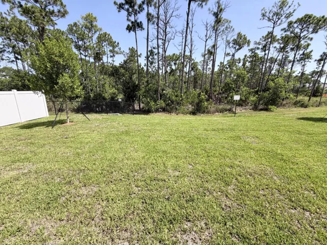 Lot 17 backyard