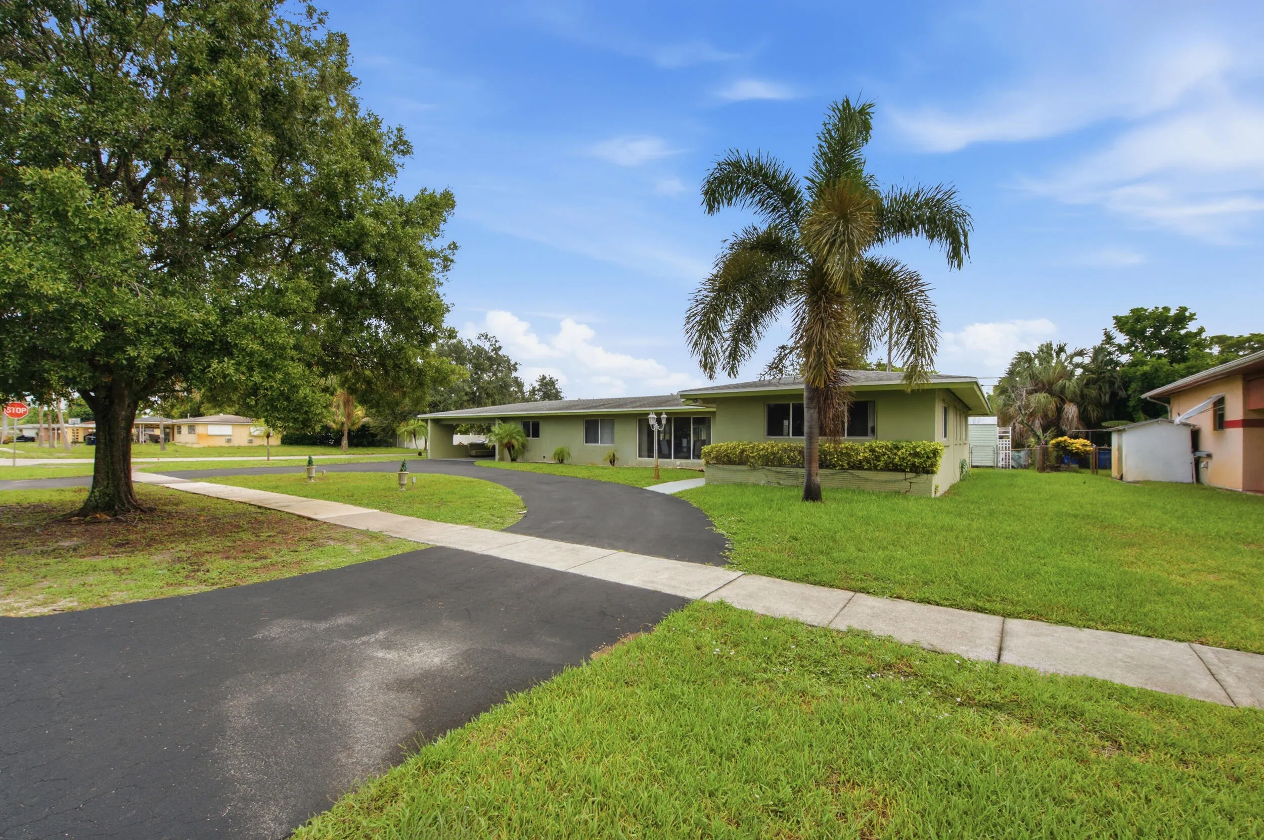 Exterior featuring a light green finish, a mature palm tree, a large established shade tree, a paved driveway, and a concrete sidewalk