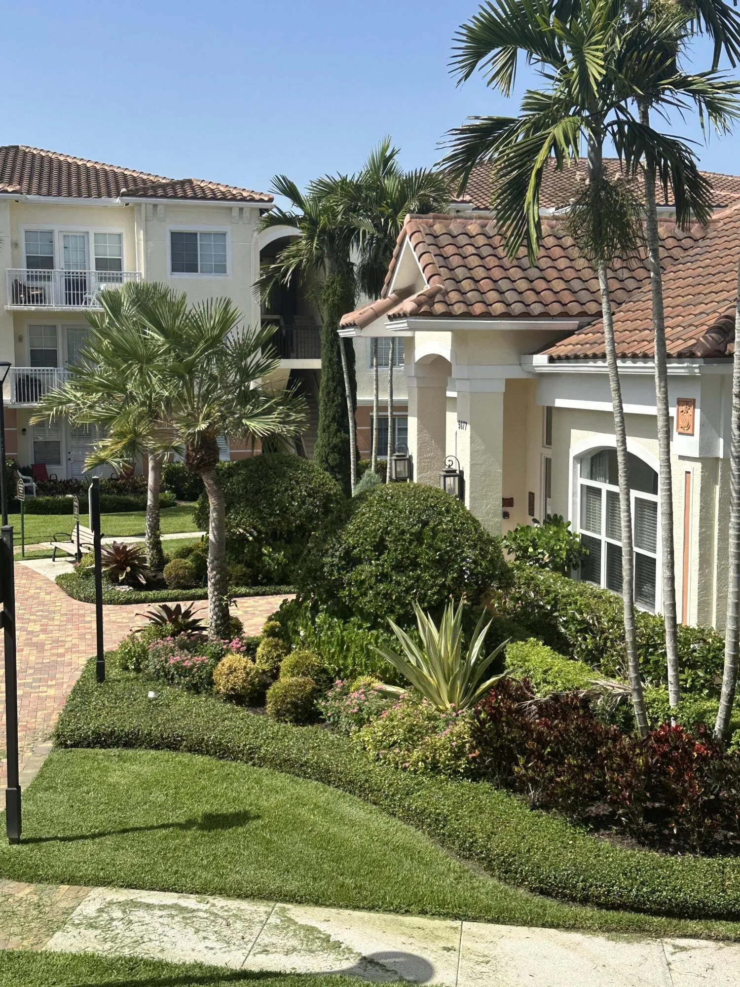Lush Grounds