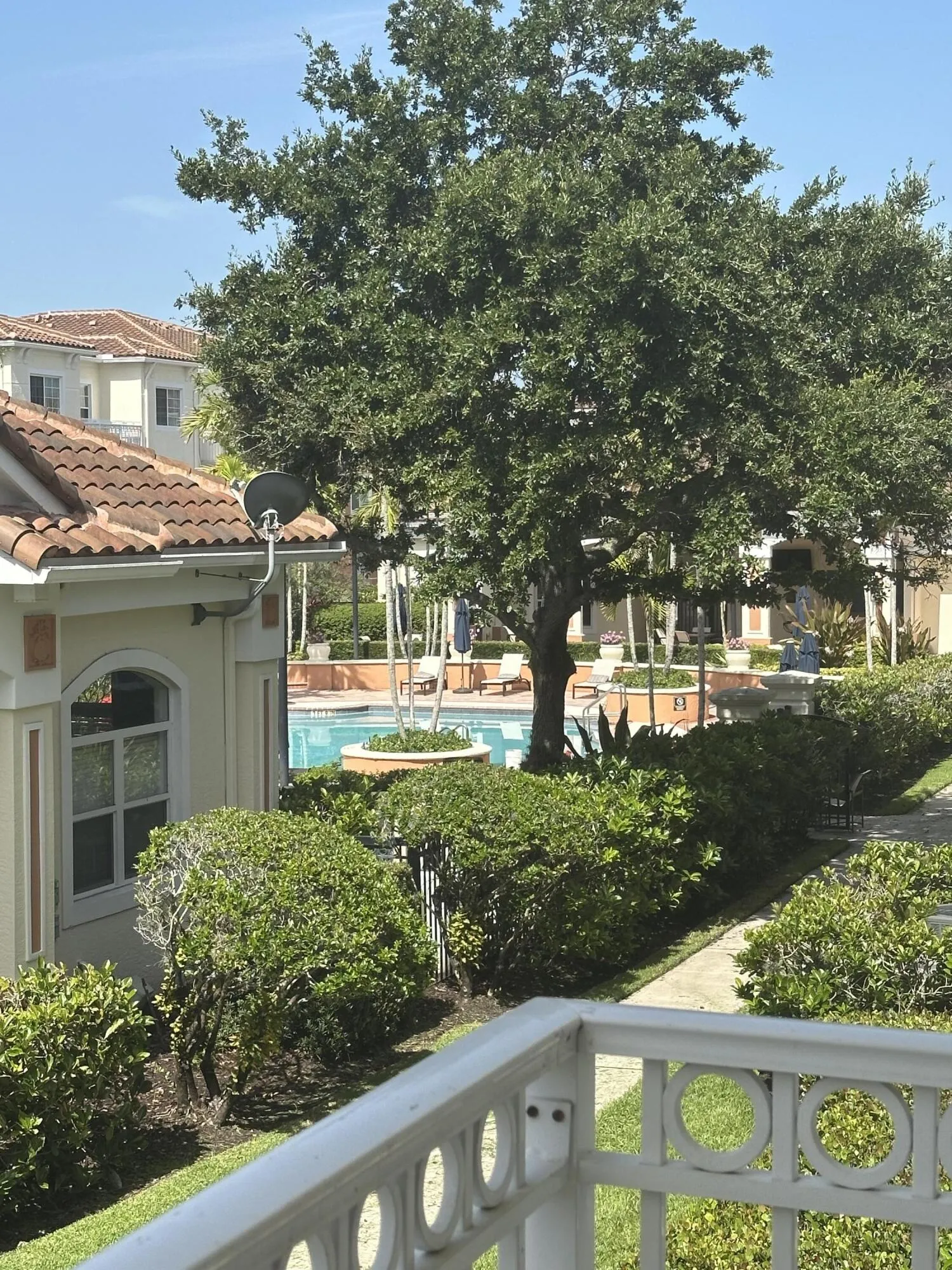 Pool​​‌​​​​‌​​‌‌​‌‌​​​‌‌​‌​‌​‌​​​‌​​ View