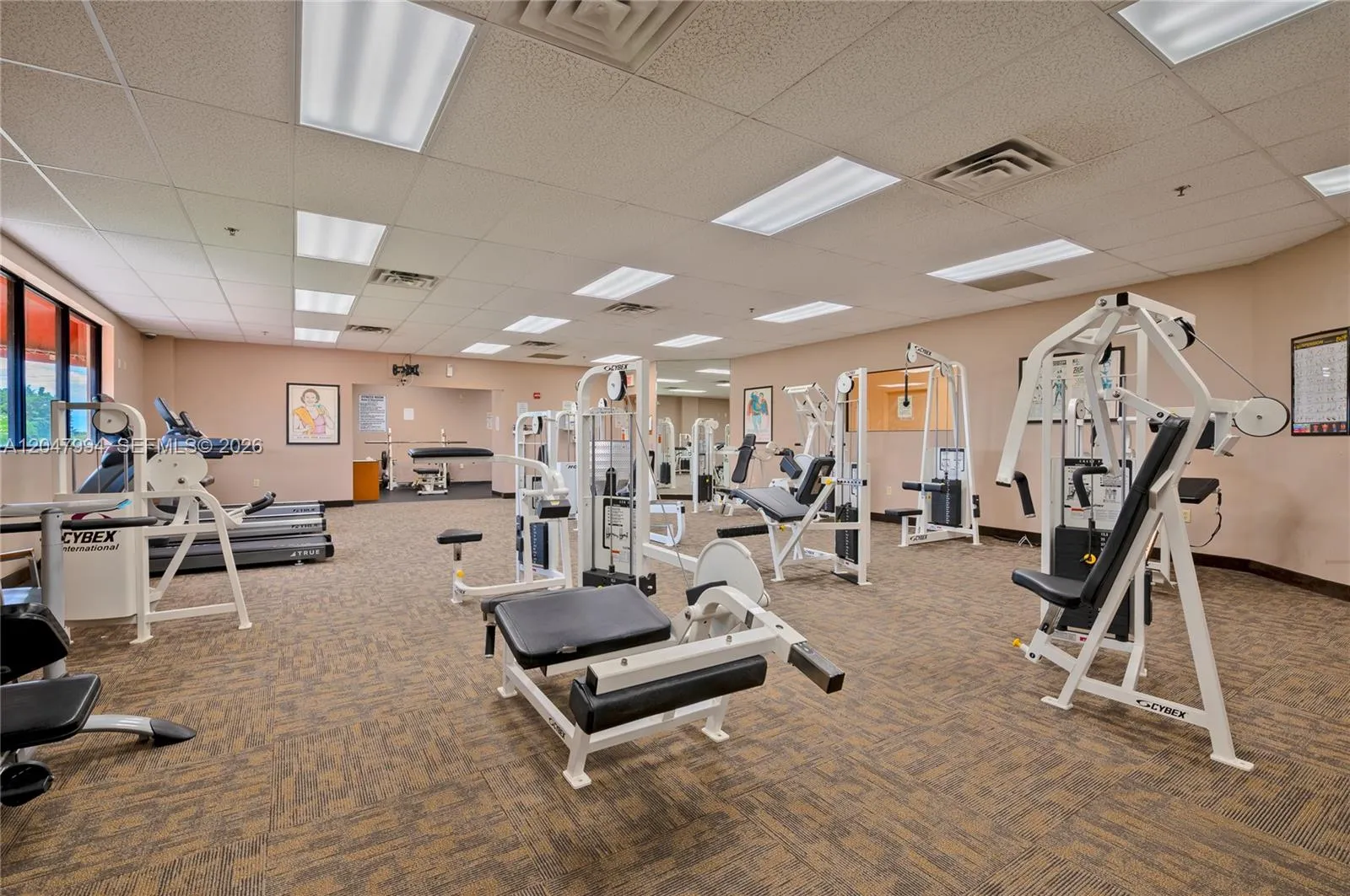 GYM