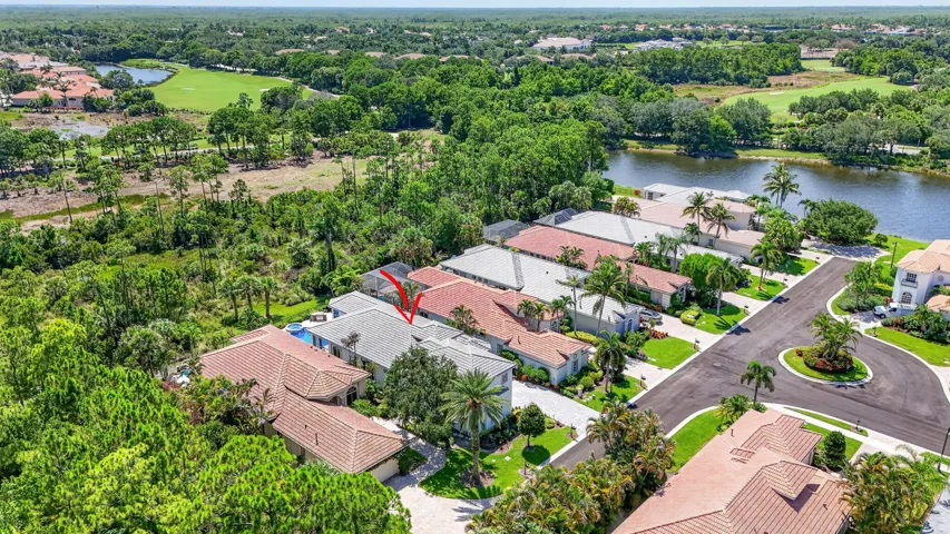 Drone View