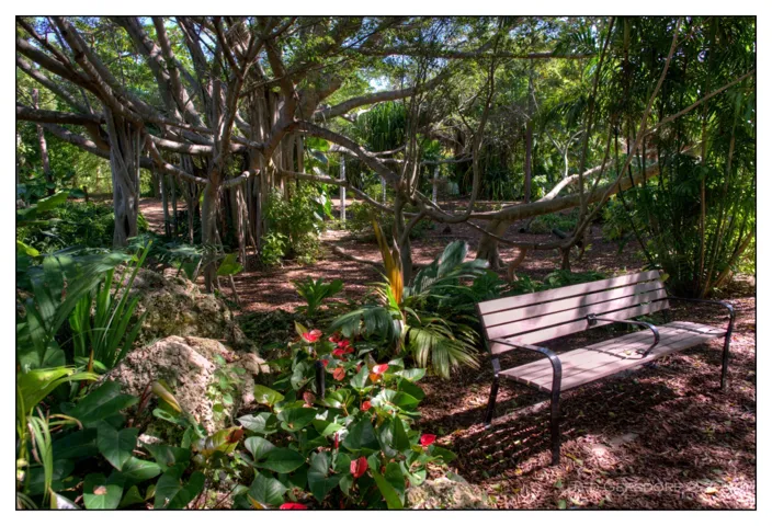 The Arboretum is truly a special place and it's right down the street in Deer Creek Golf Club.