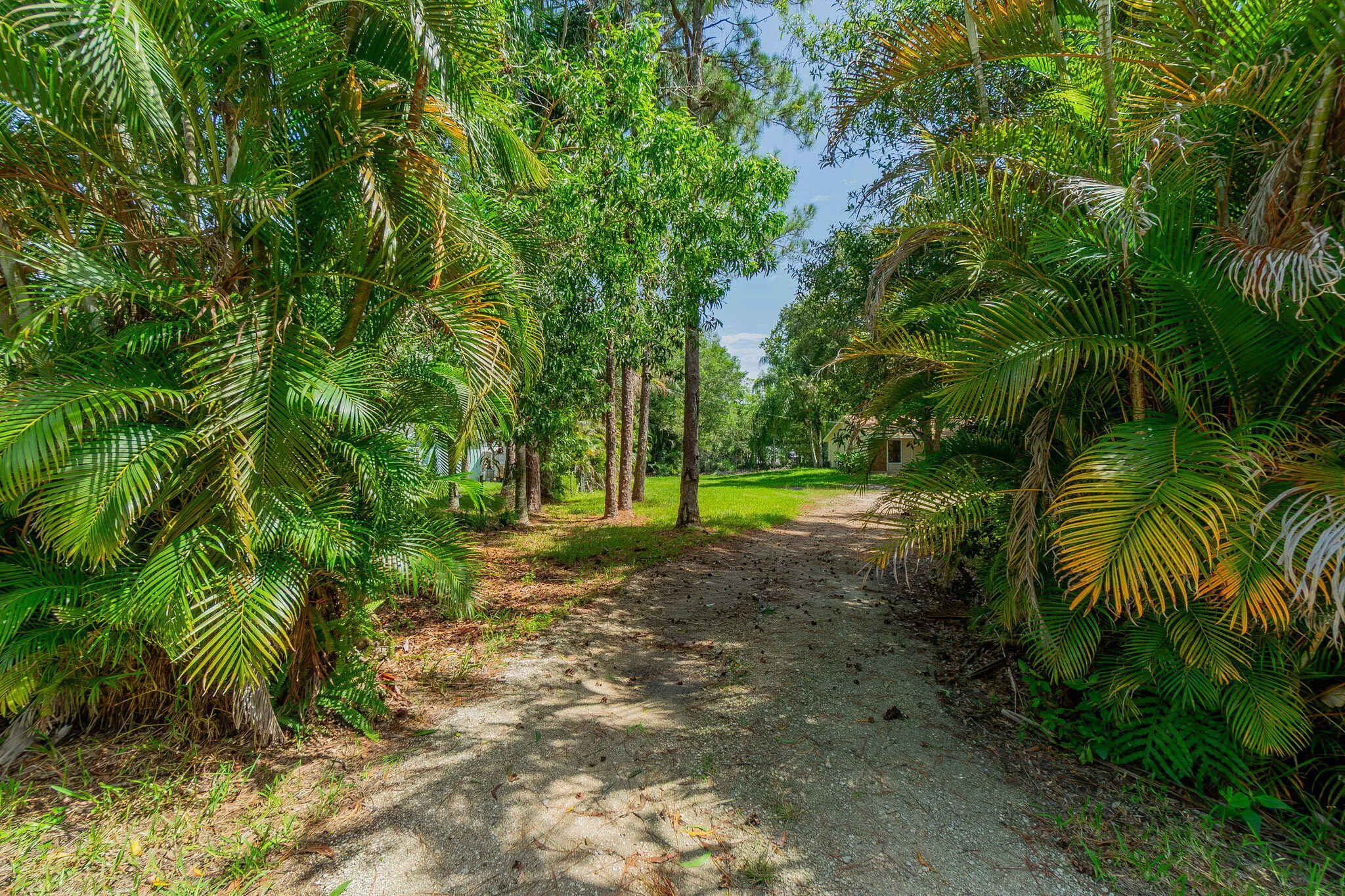 36-web-or-mls-DSC06836
