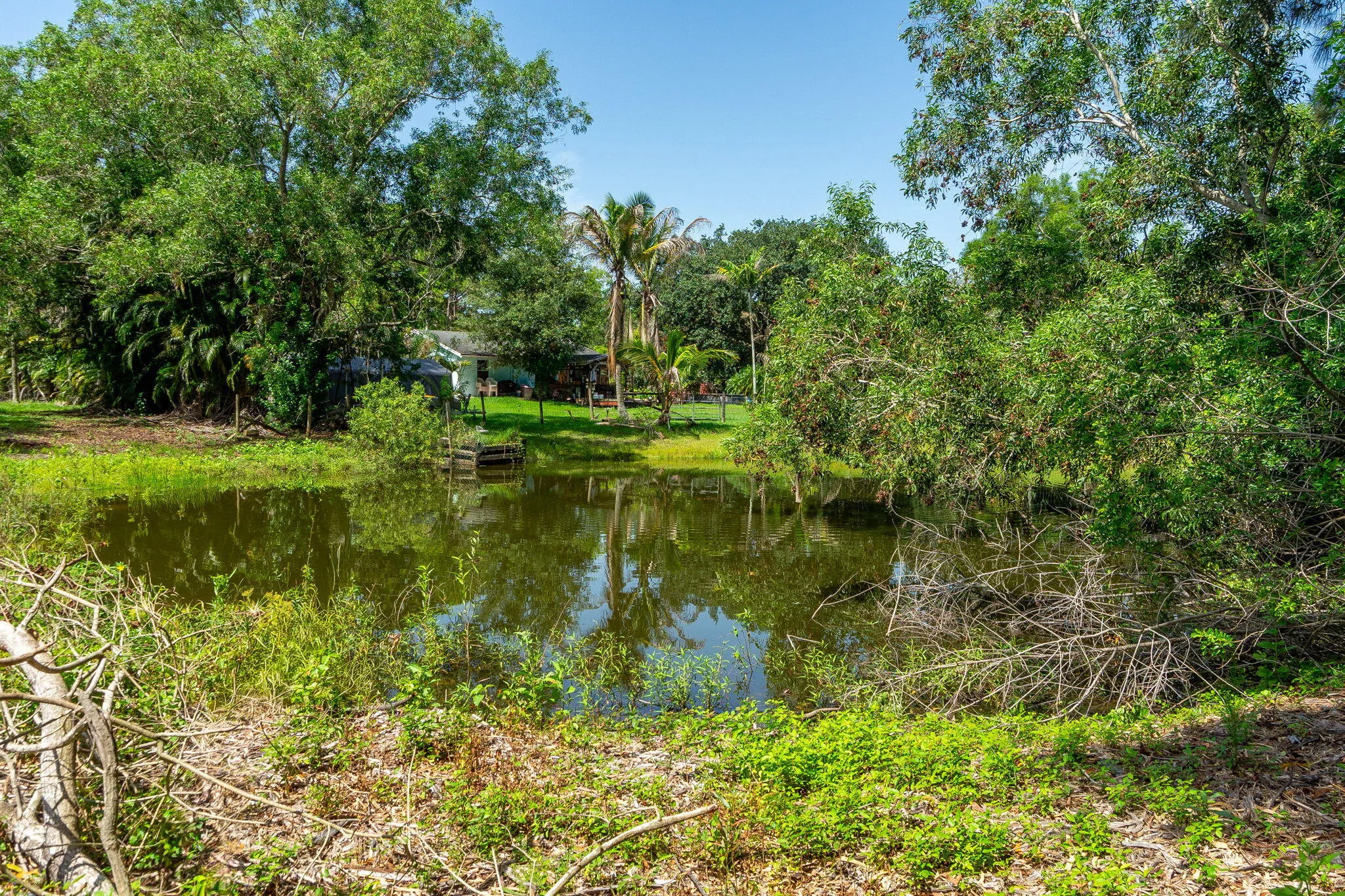 32-web-or-mls-DSC06823