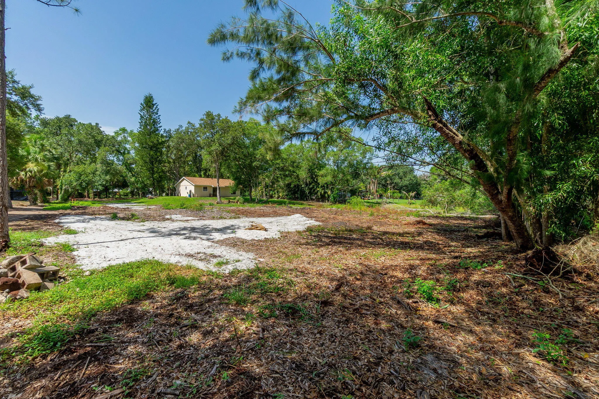 29-web-or-mls-DSC06822