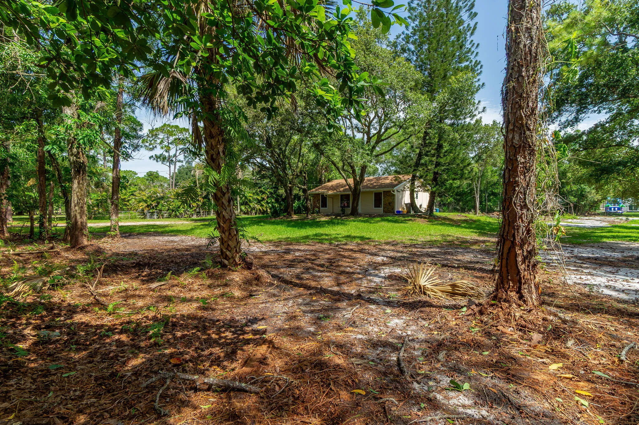 33-web-or-mls-DSC06832