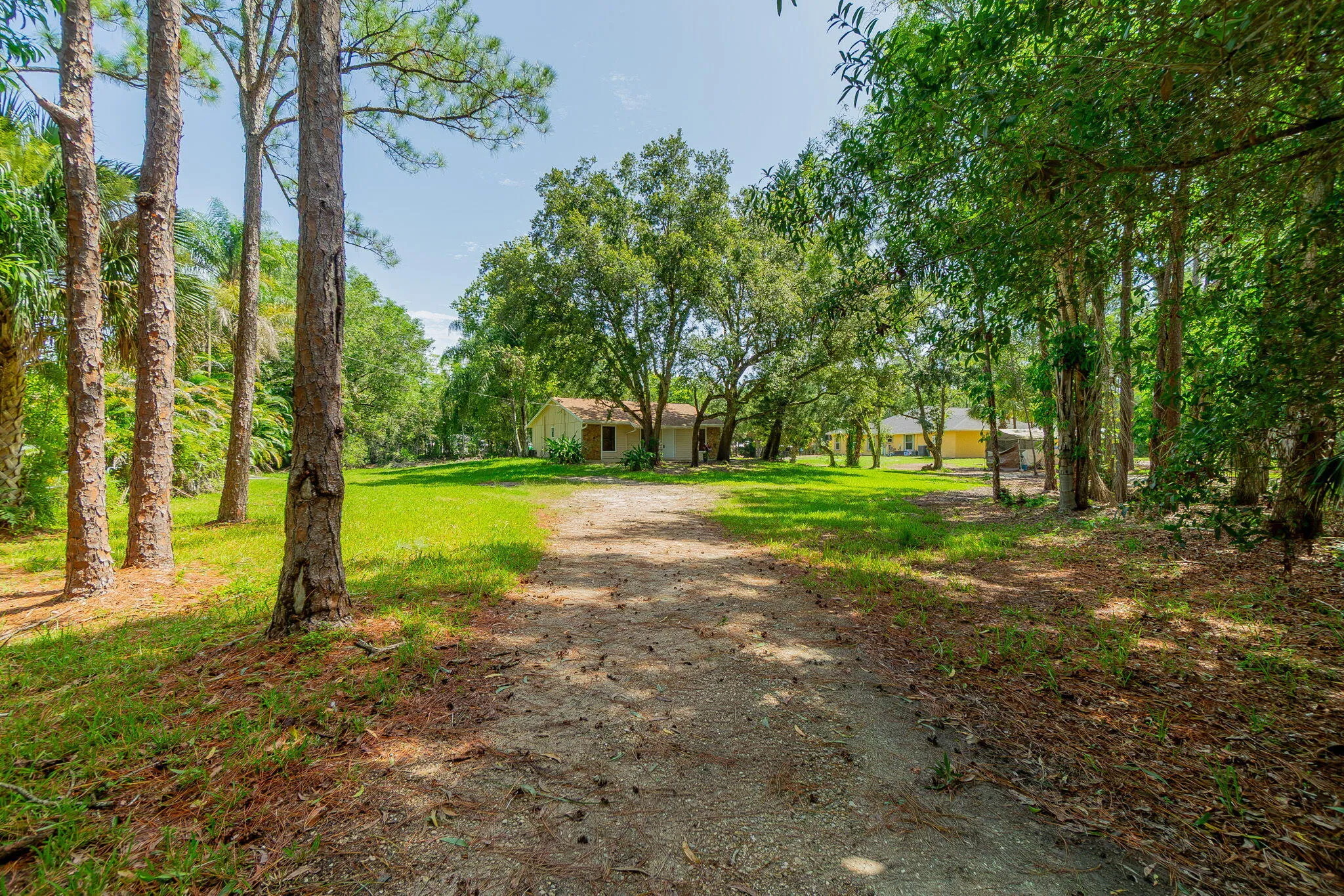 35-web-or-mls-DSC06837