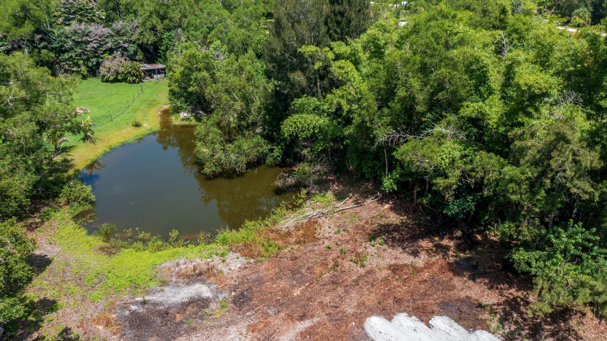 43-web-or-mls-DJI_0693
