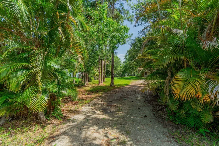 36-web-or-mls-DSC06836