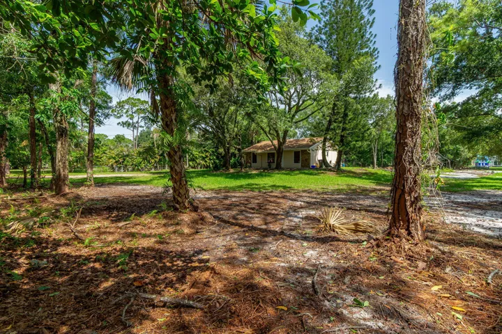33-web-or-mls-DSC06832