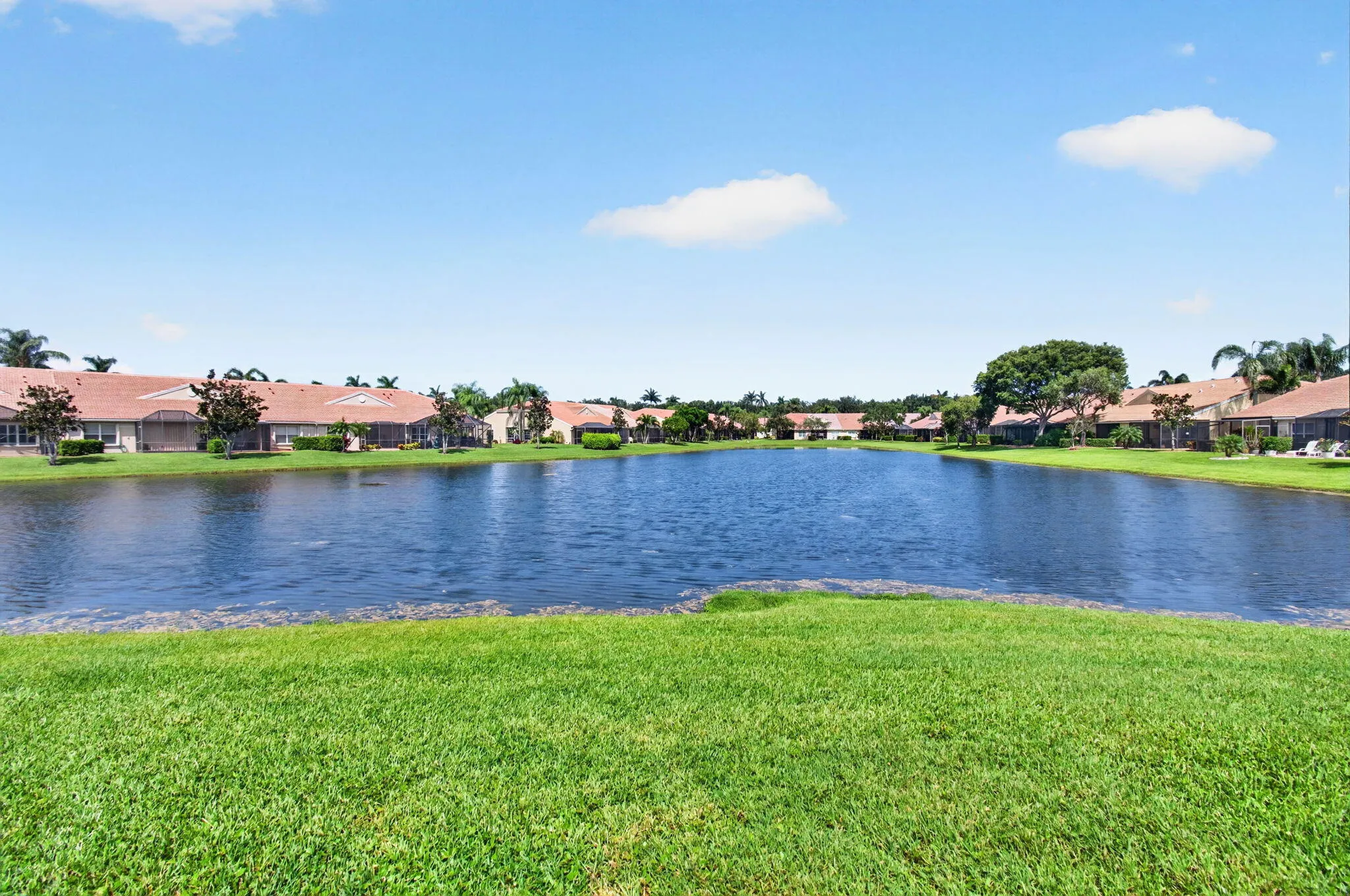 Lake Views