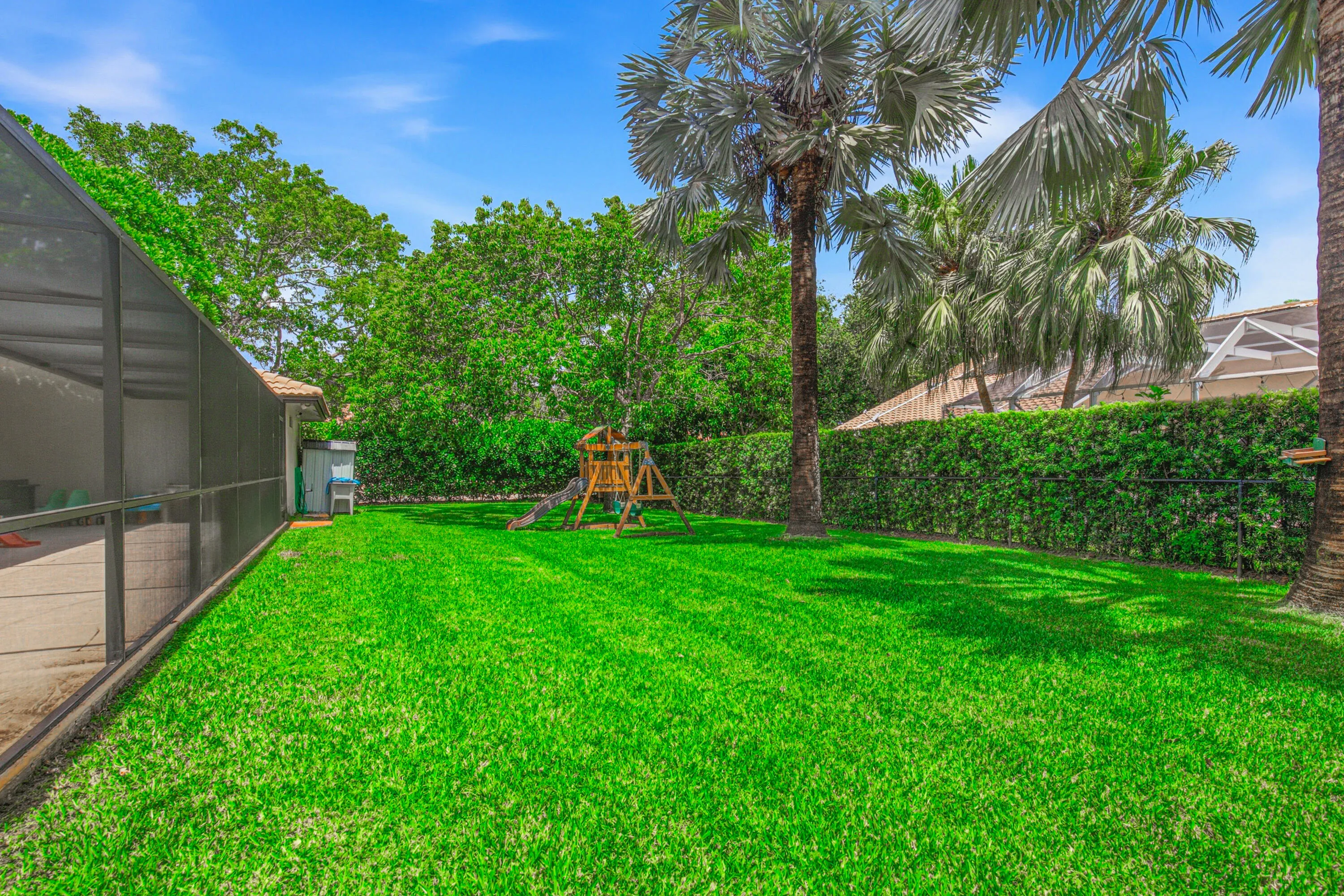Backyard-C (2)