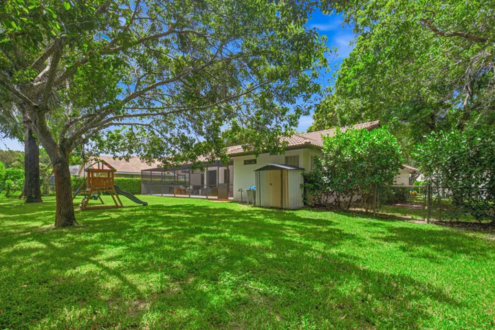 Backyard (2)