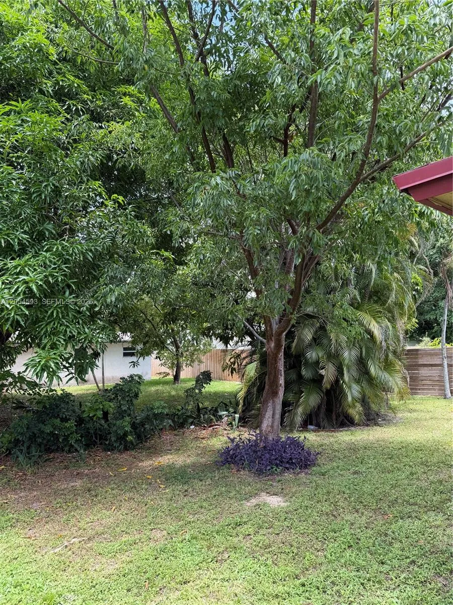 Front yard