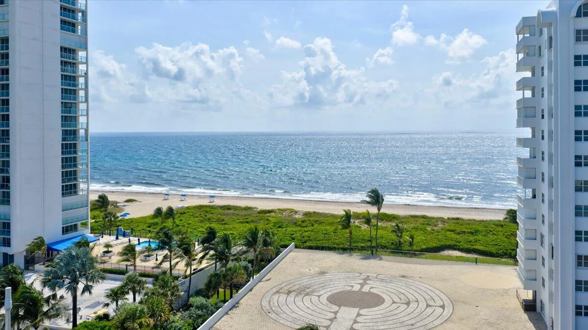 This view!