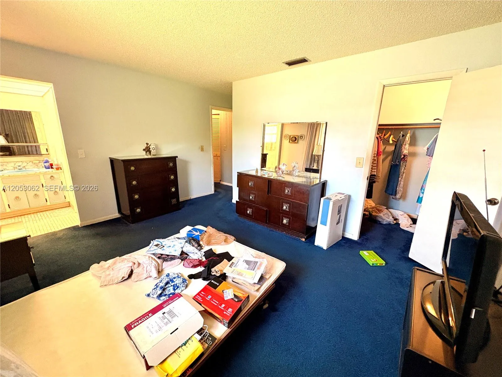 Primary bedroom with walk in closet