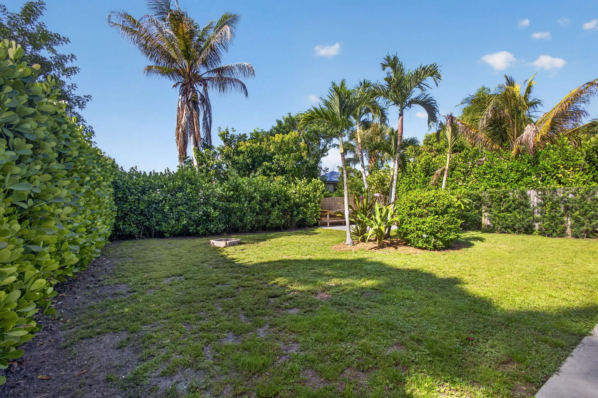 34-web-or-mls-5D1A8885