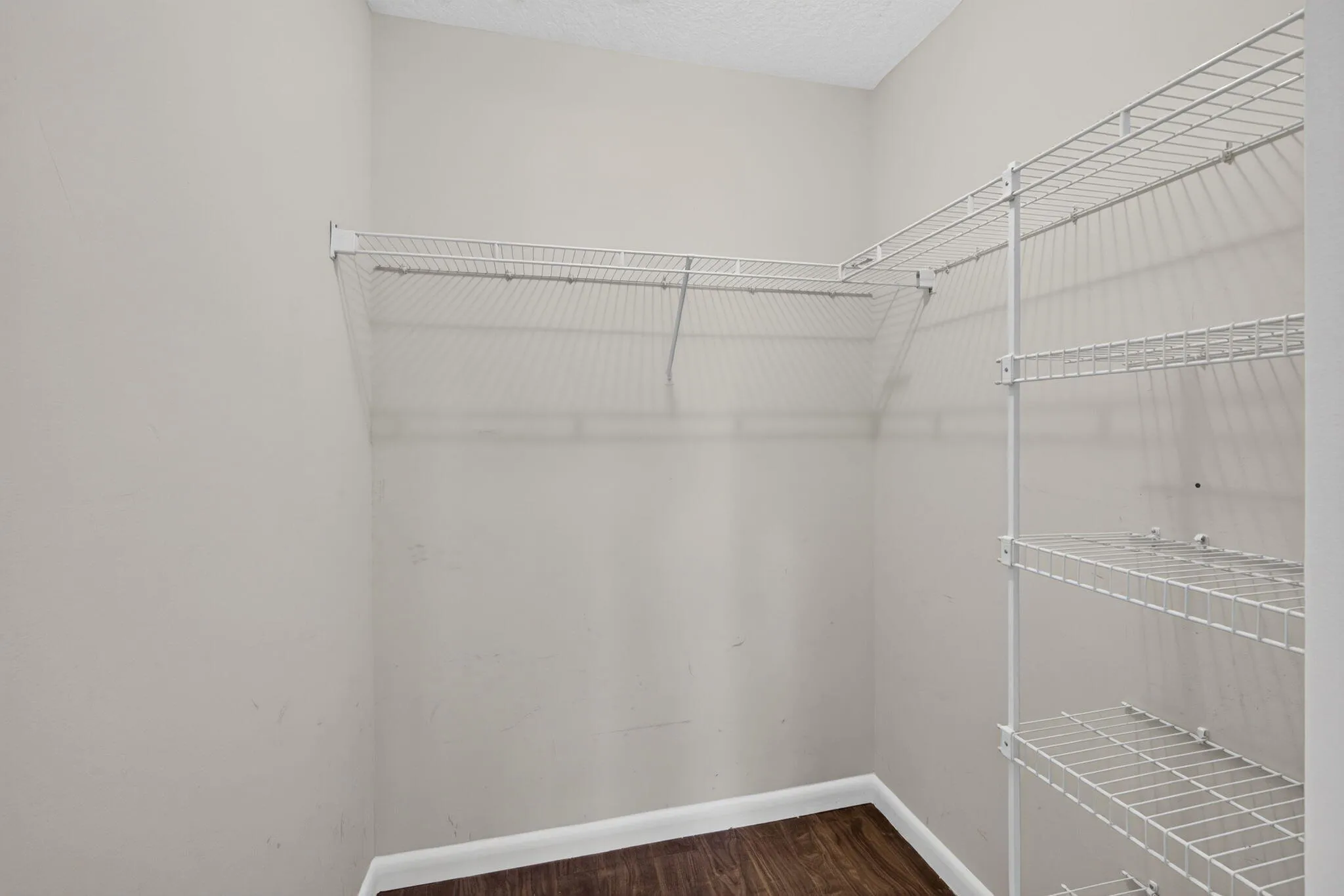 21-web-or-mls-5D1A8810