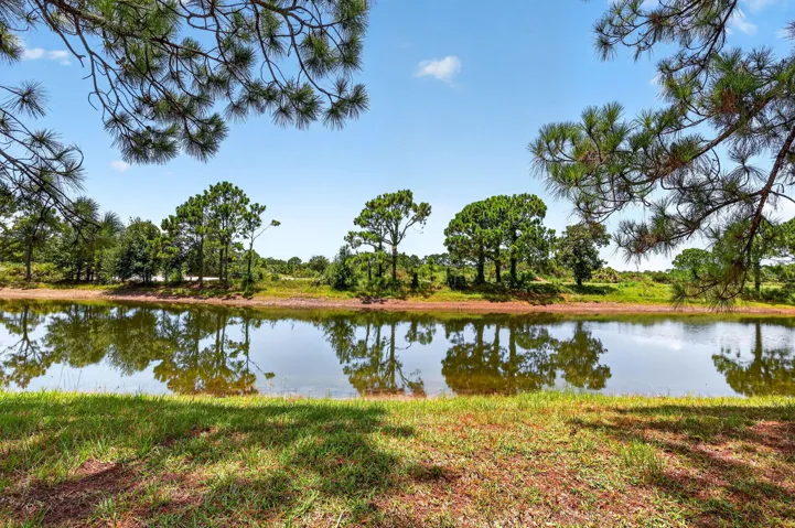 50-web-or-mls-5P1A8064