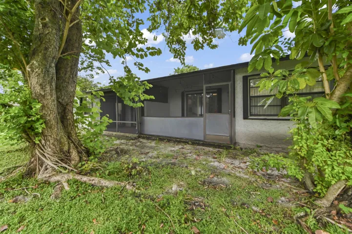 22 Backyard 01