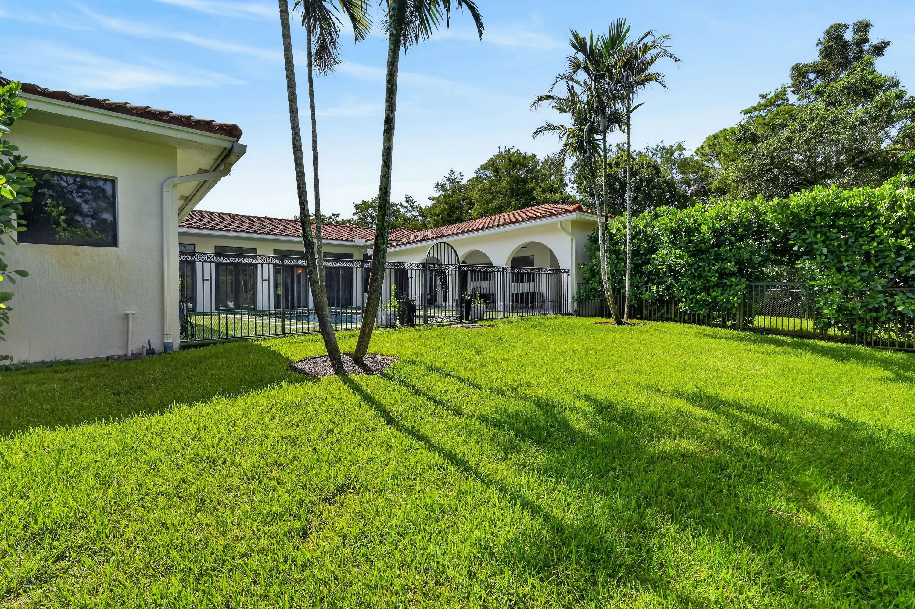 Expansive Backyard