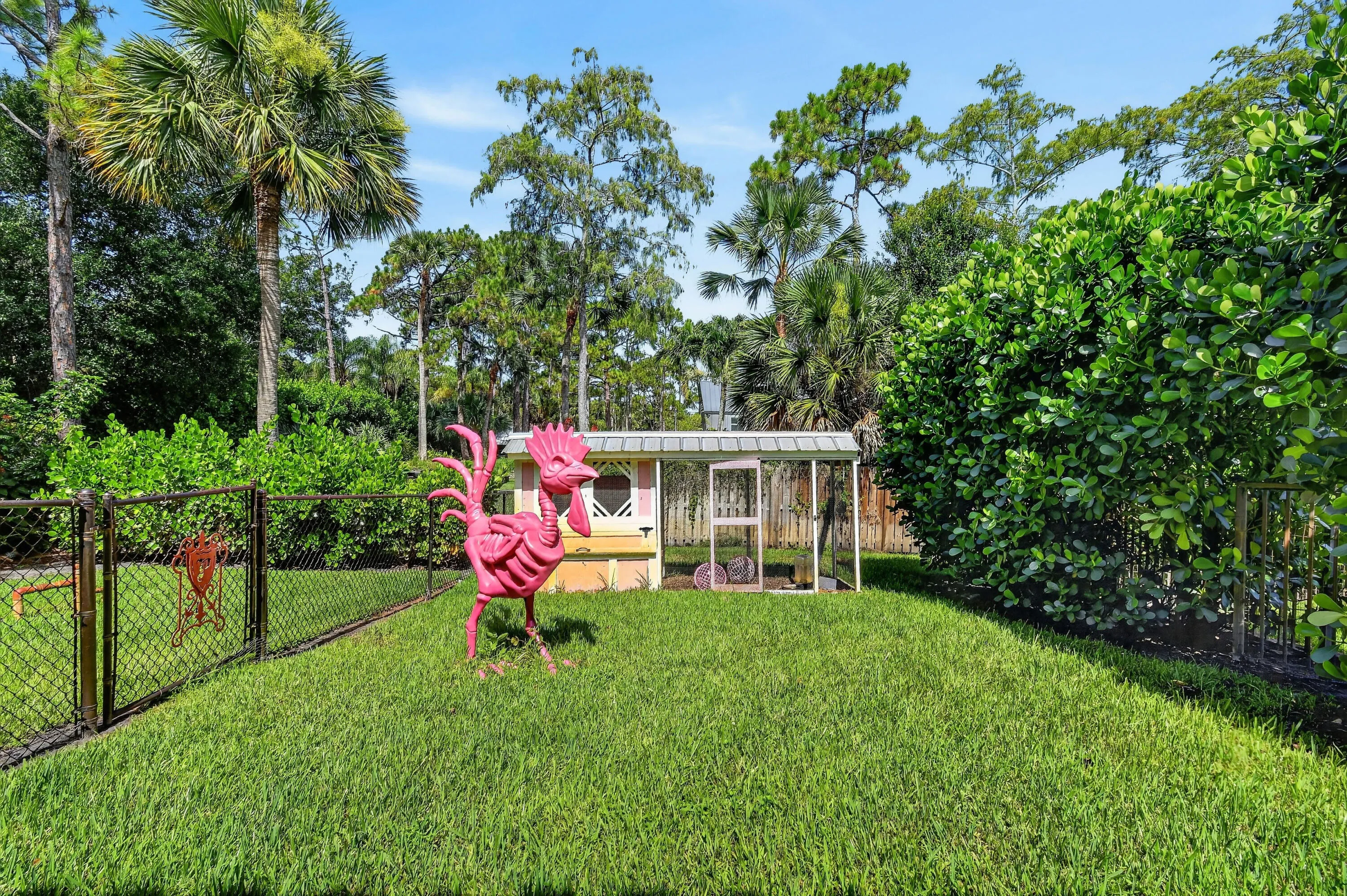 Chicken Coop