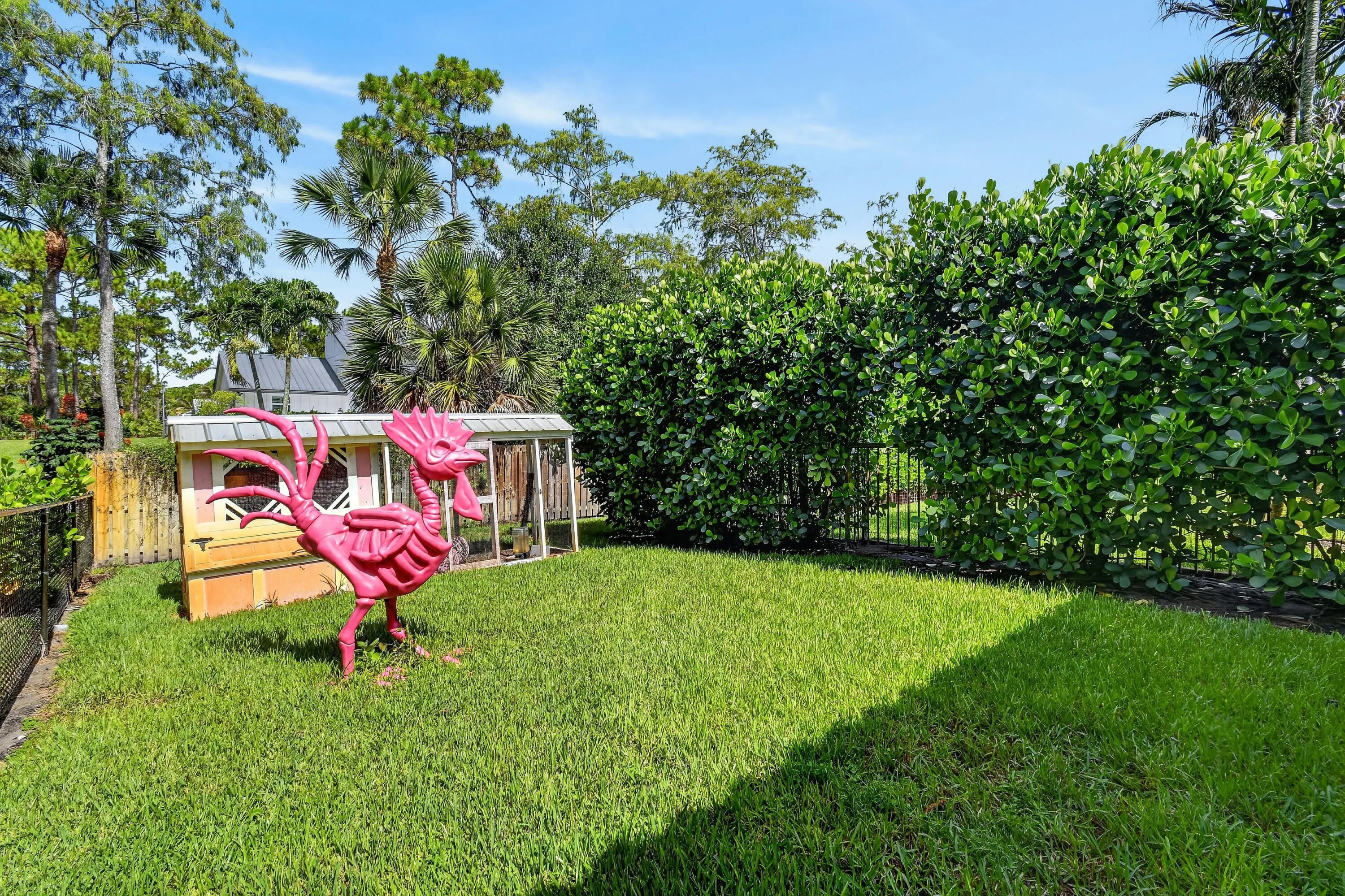 Chicken Coop