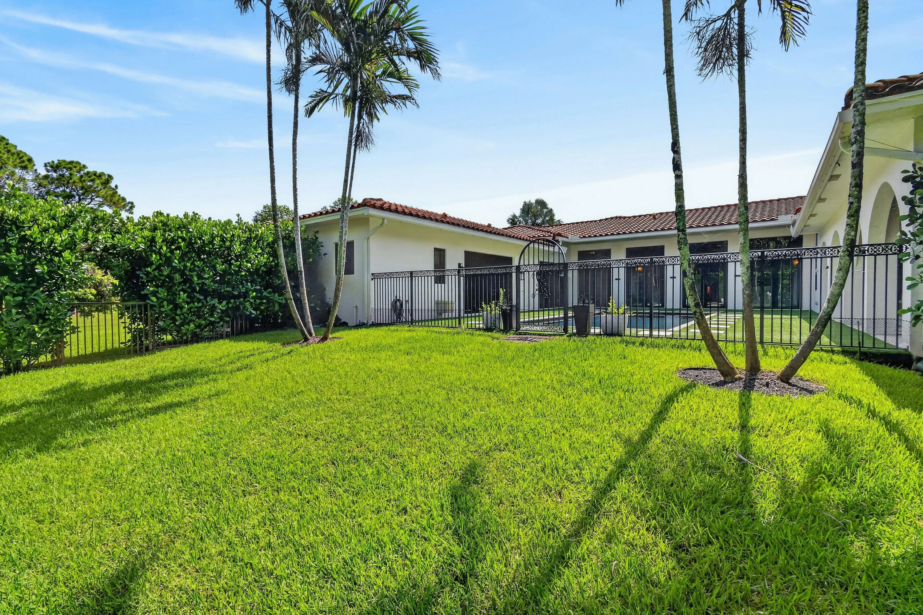 Expansive Backyard
