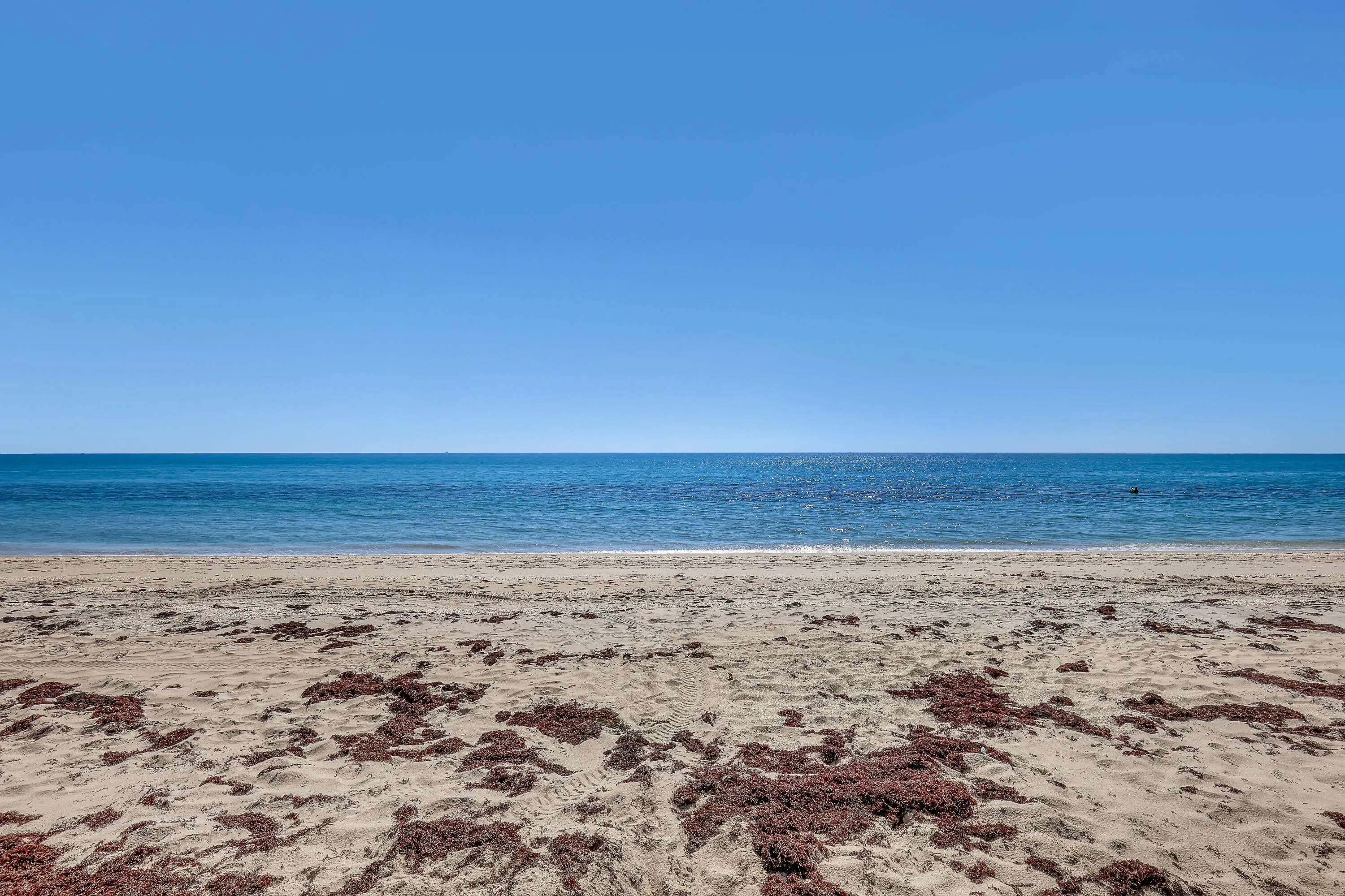 Corniche (27)