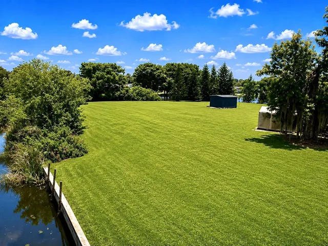 Aerial Looking at Backyard
