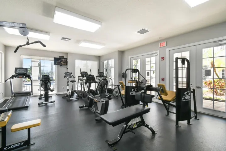 fitness