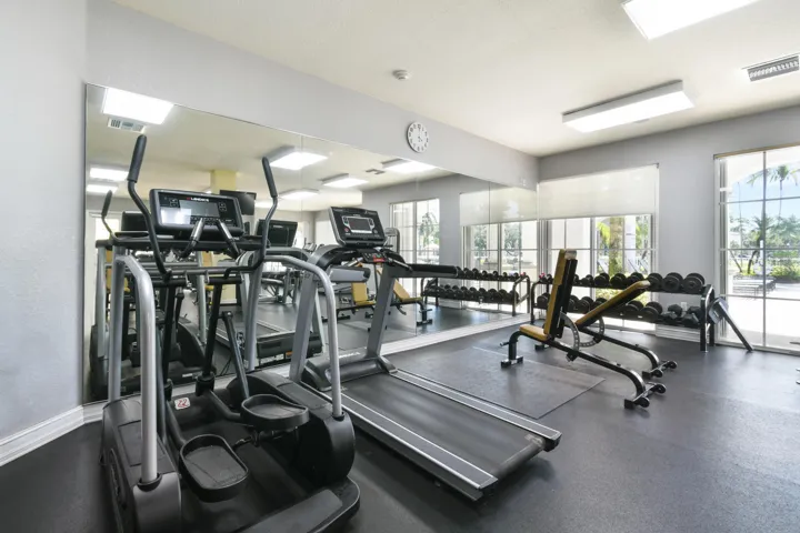 fitness