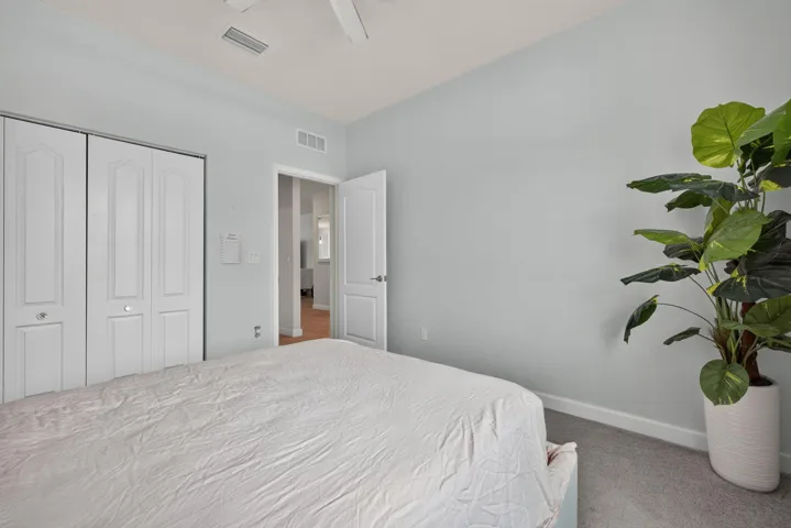29-web-or-mls-3A5A4156