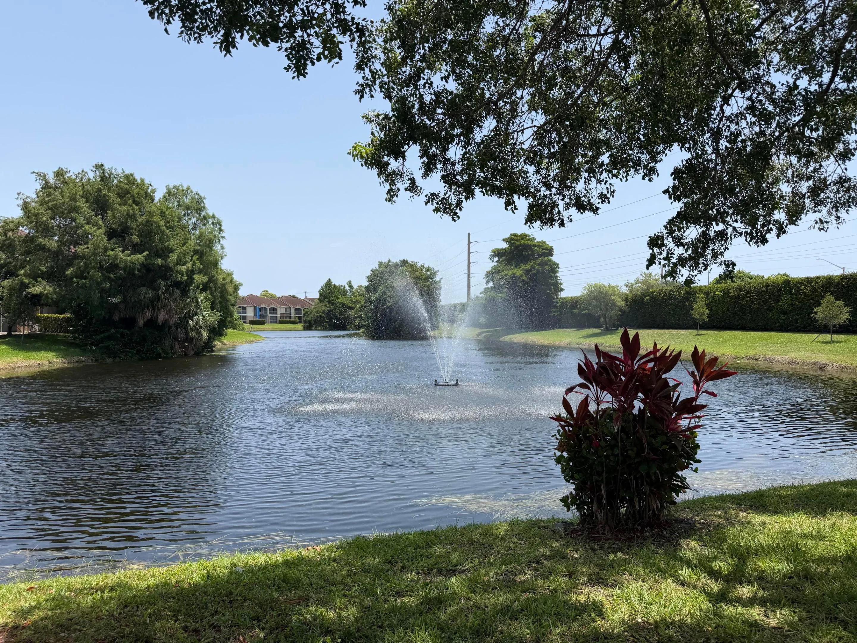 BEAUTIFUL LAKE IN COMMUNITY