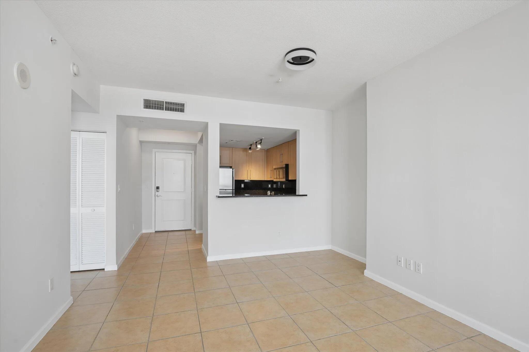 Kitchen / Living Room