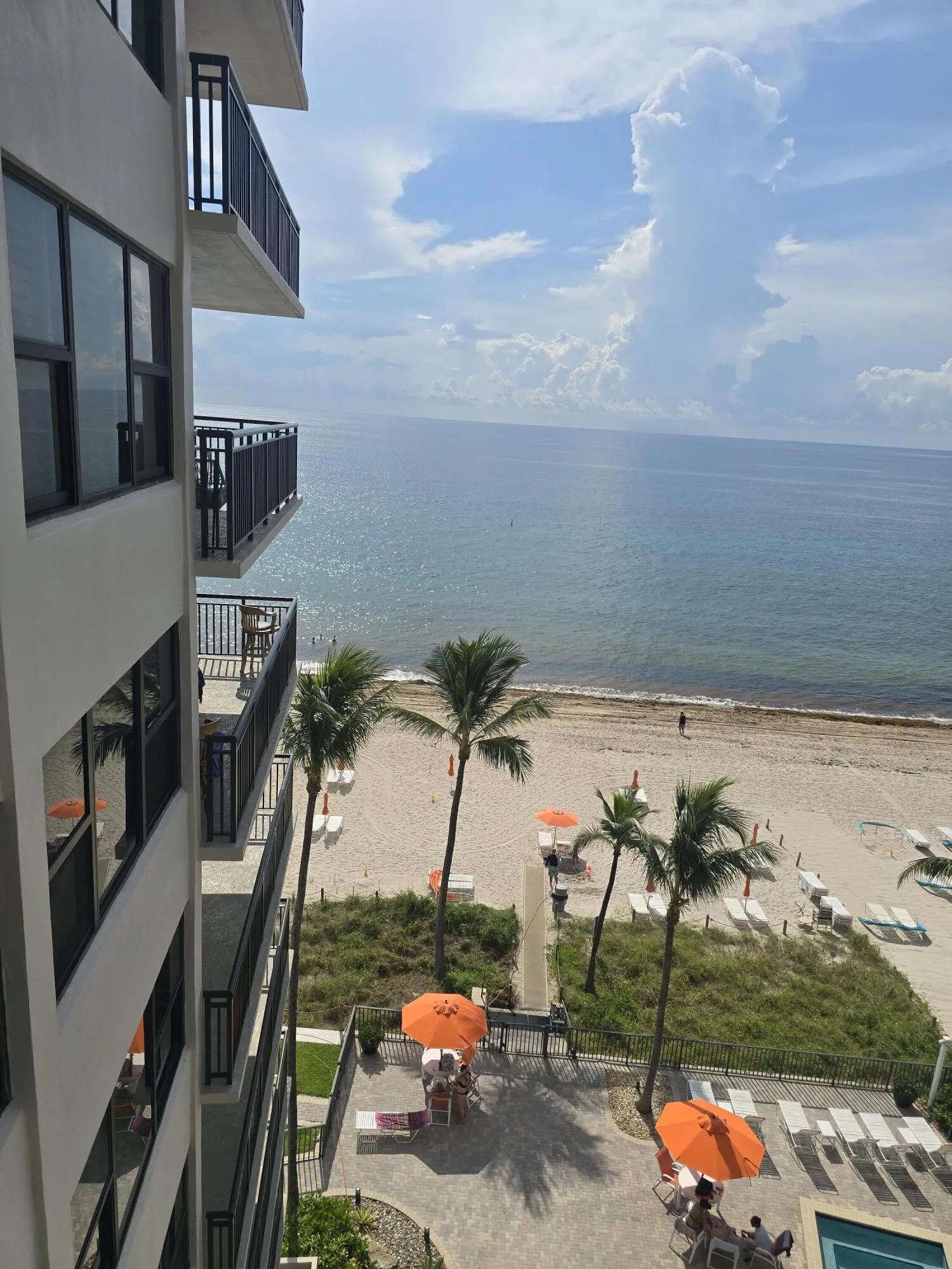GOC View