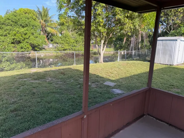 Back yard