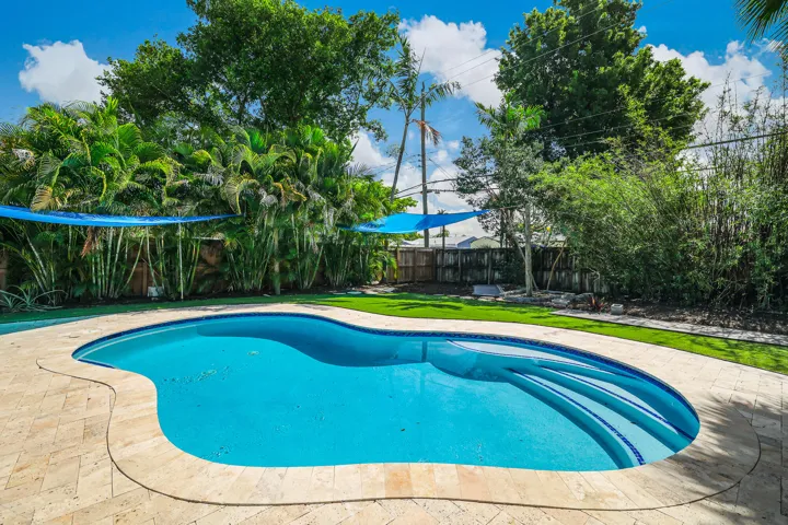 Amazing backyard and pool