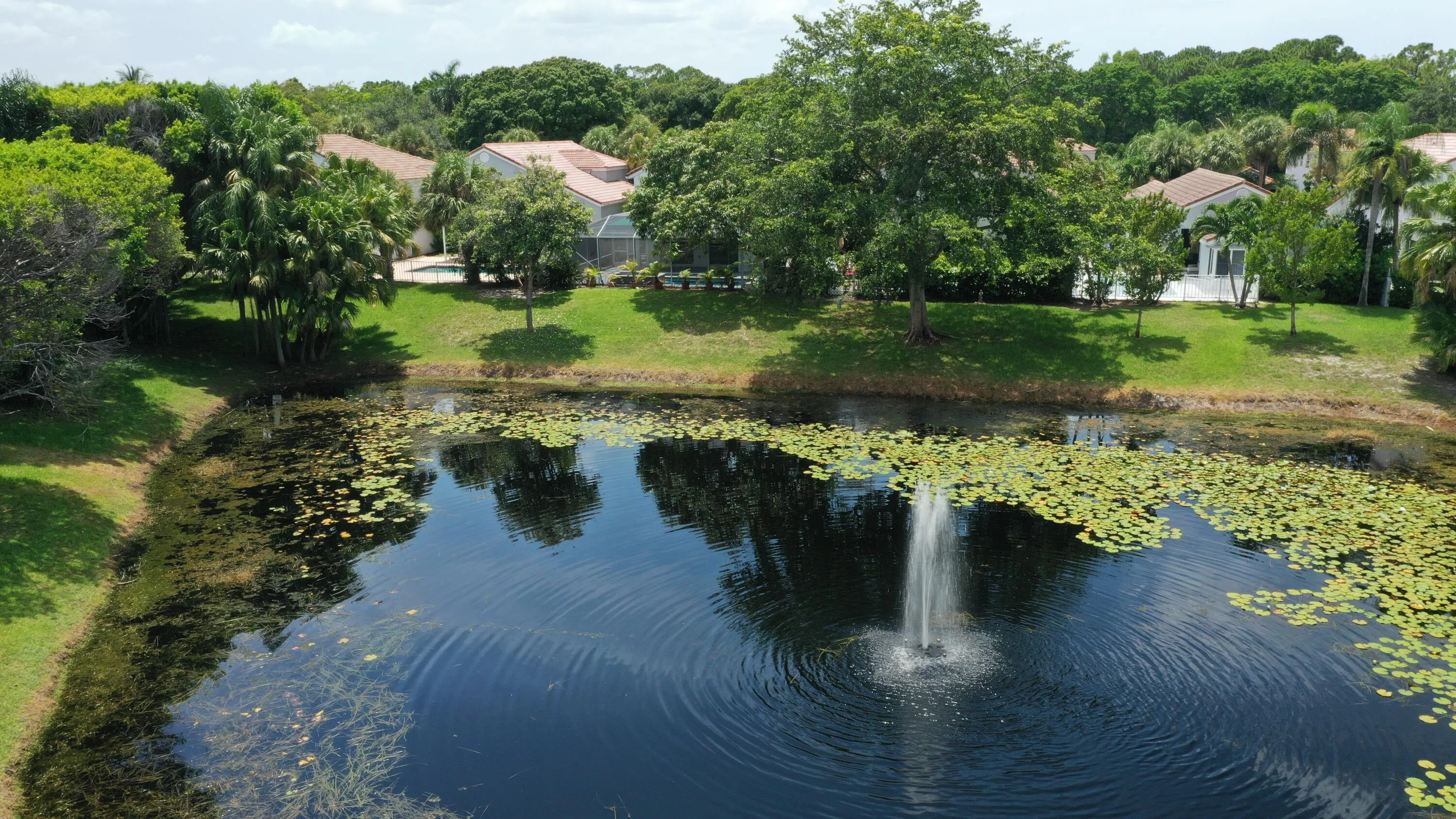 Direct Lake Views