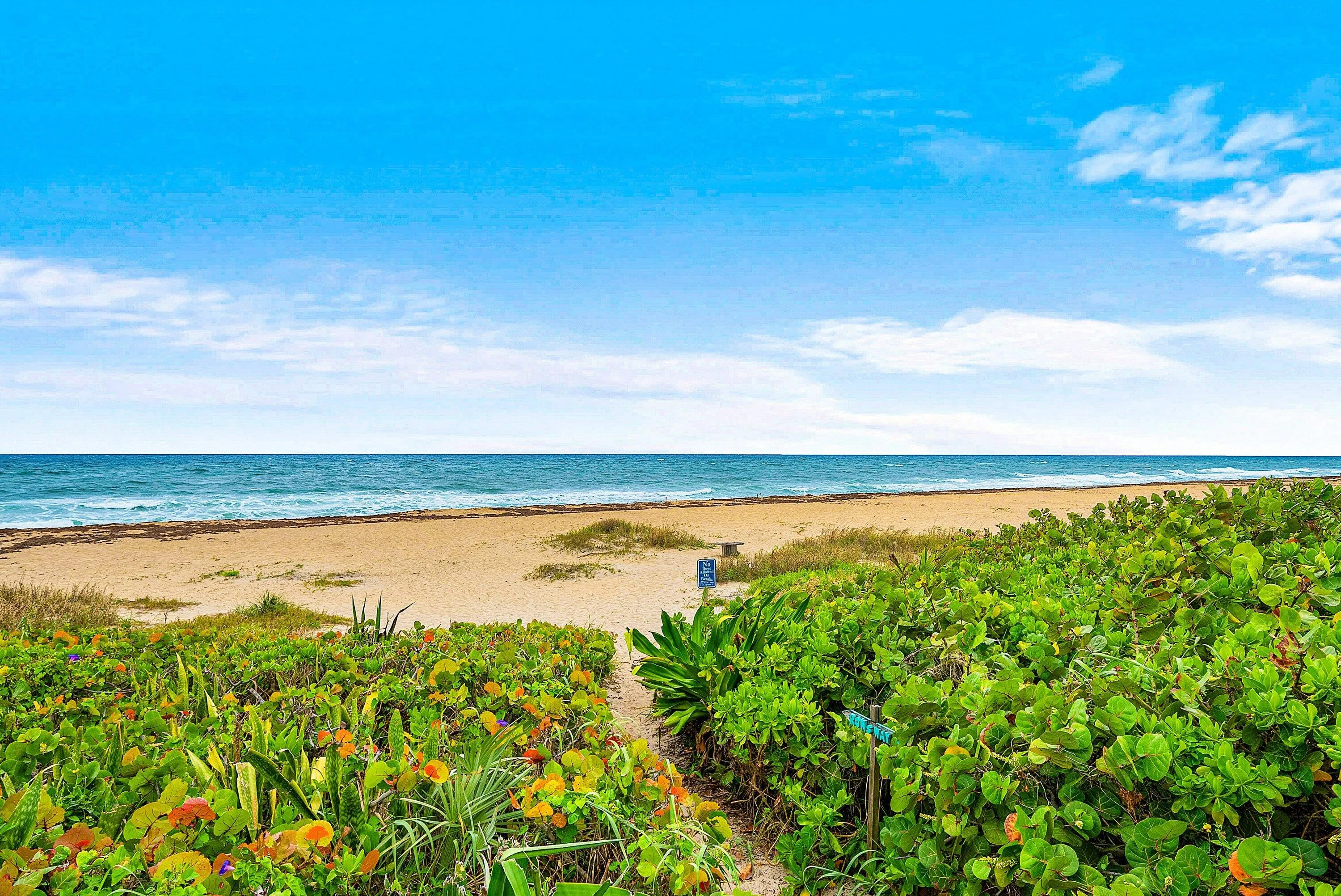031-205CoralRoad-BoyntonBeach-FL-33435-S