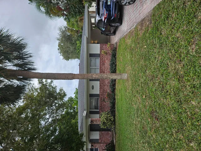 front view