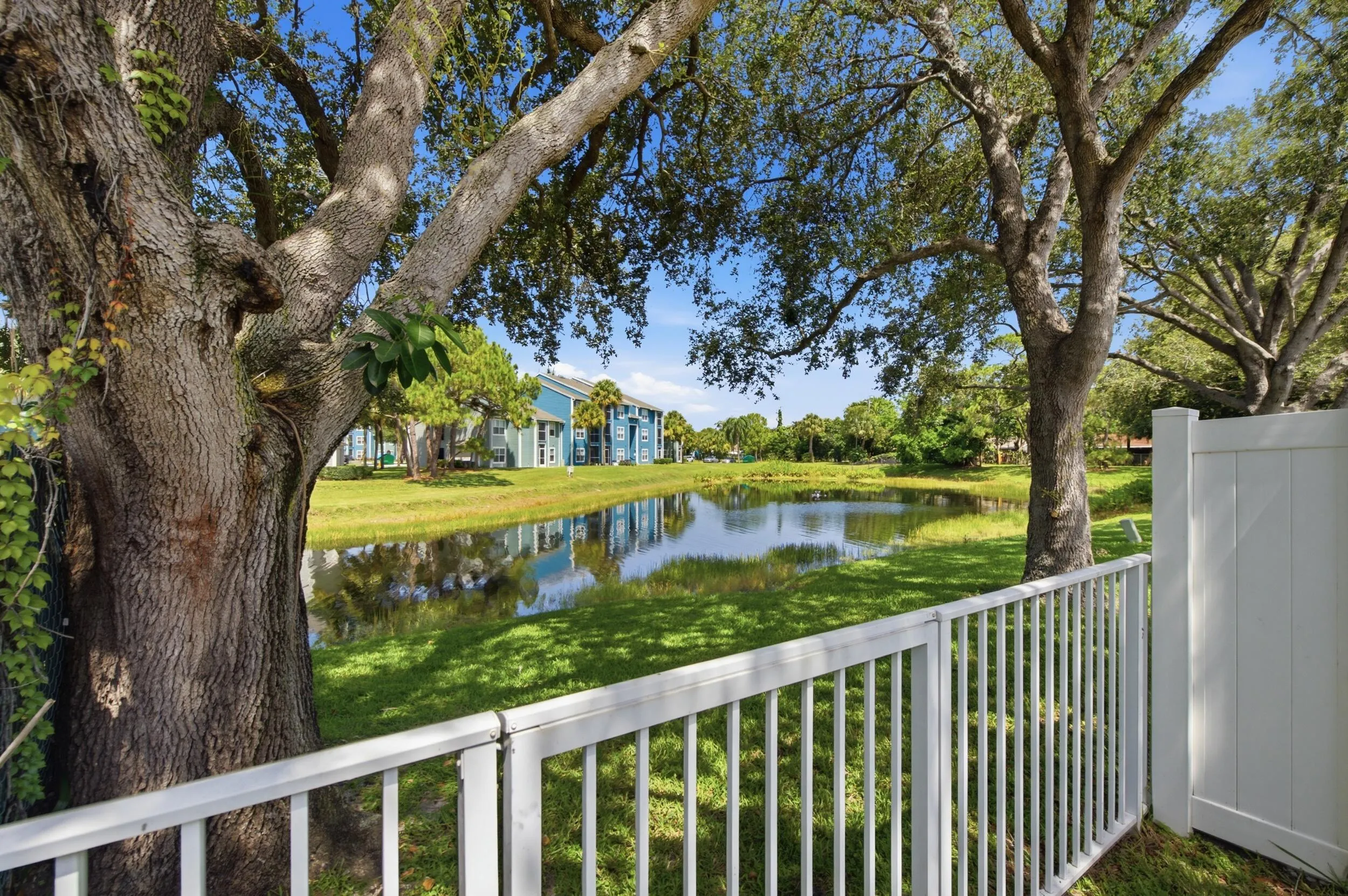 Water view
