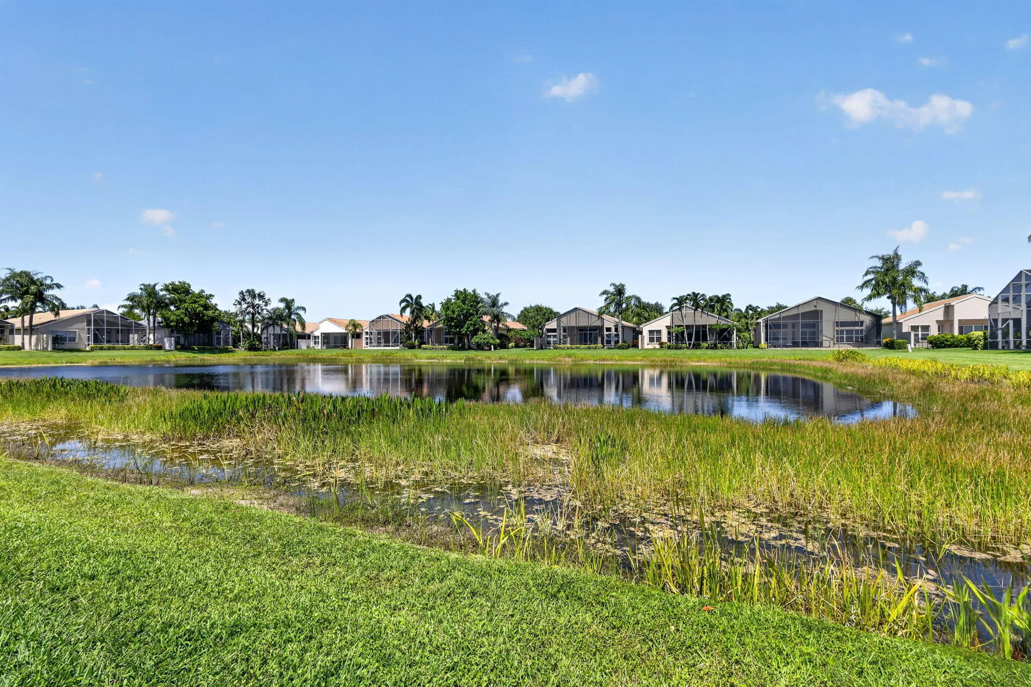 Lake view