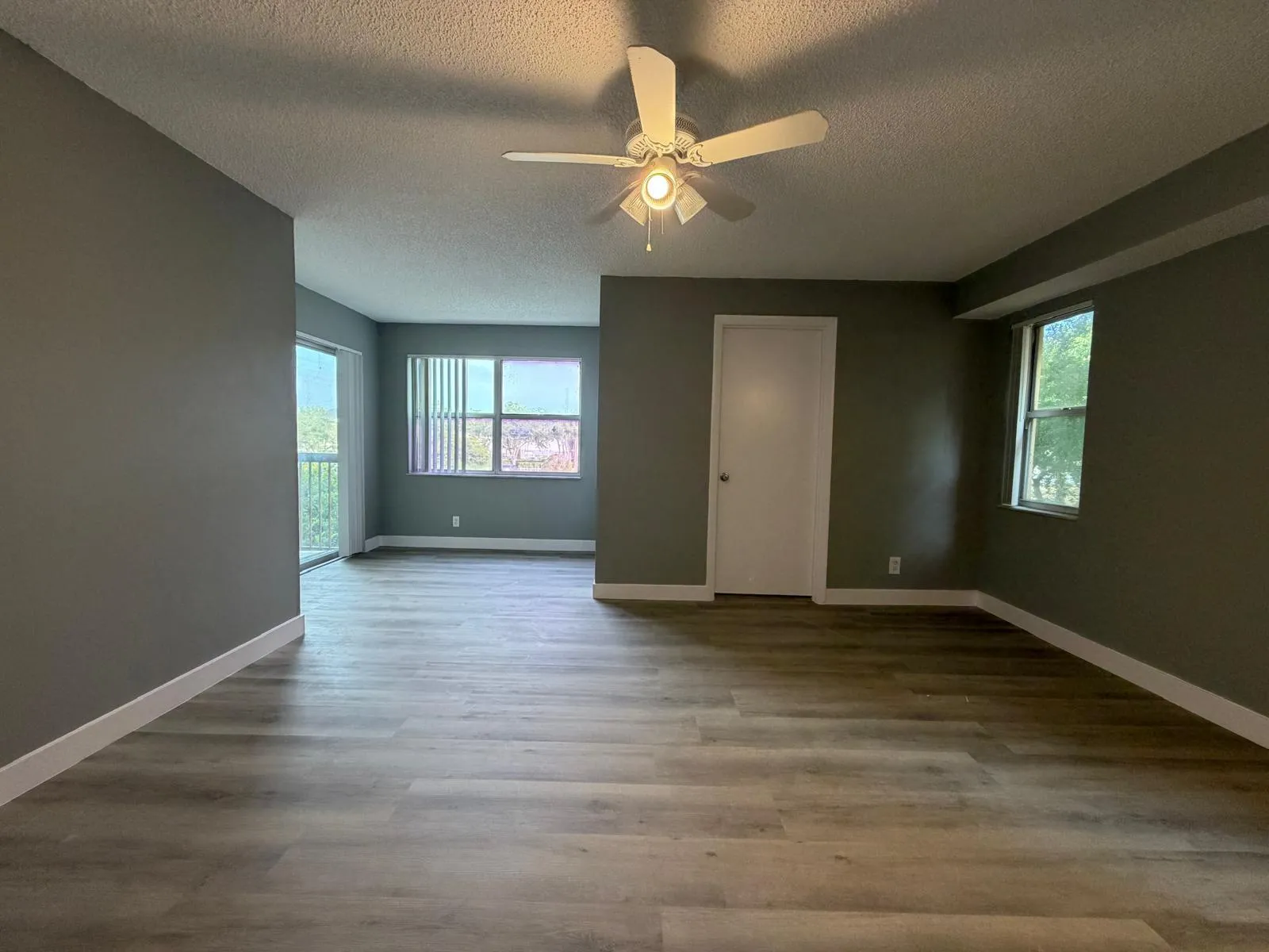 Spacious room with wood-finish flooring, neutral gray walls, and white trim