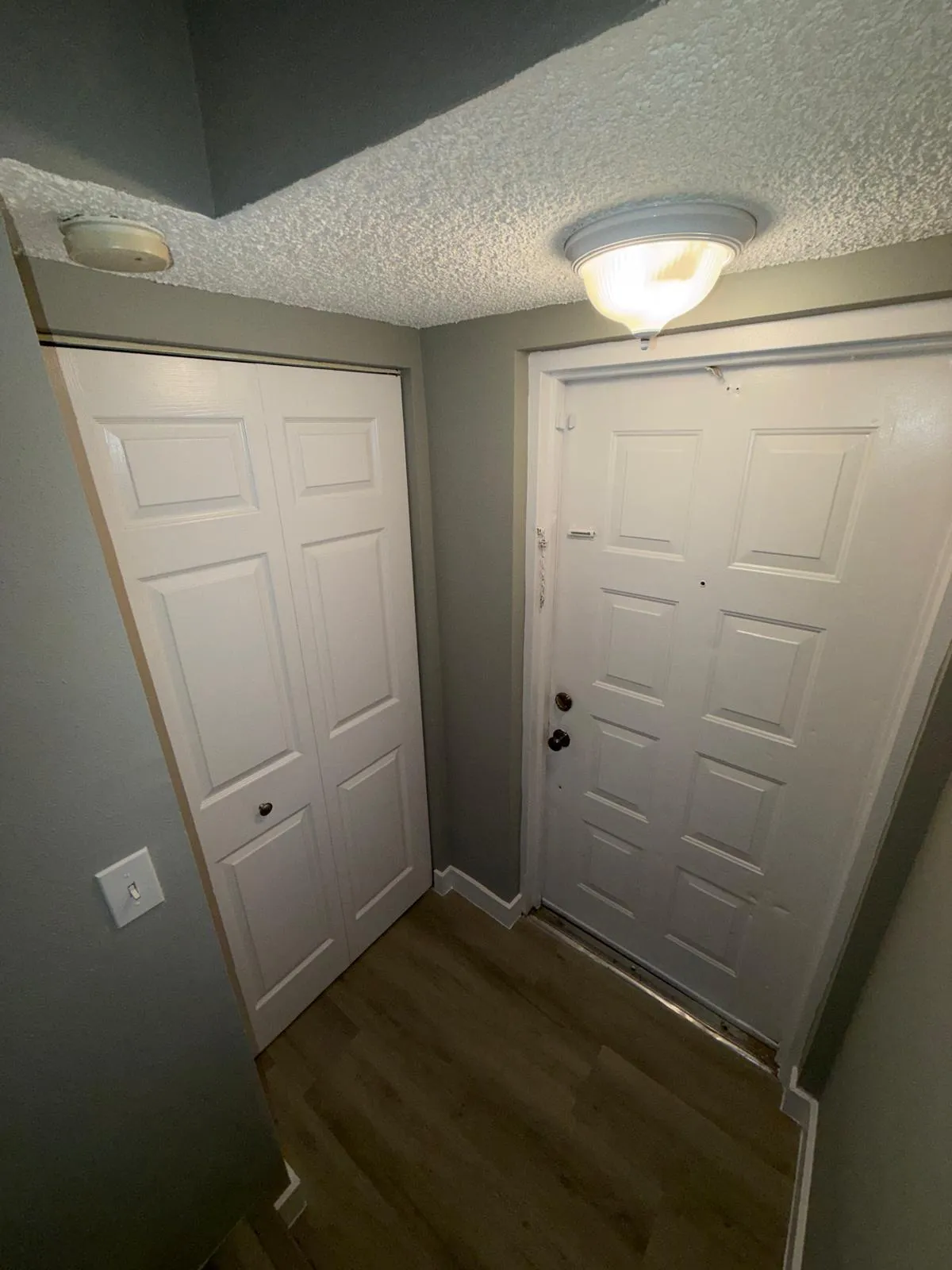 Entryway featuring wood-finish flooring, white paneled doors, and ceiling-mounted lighting