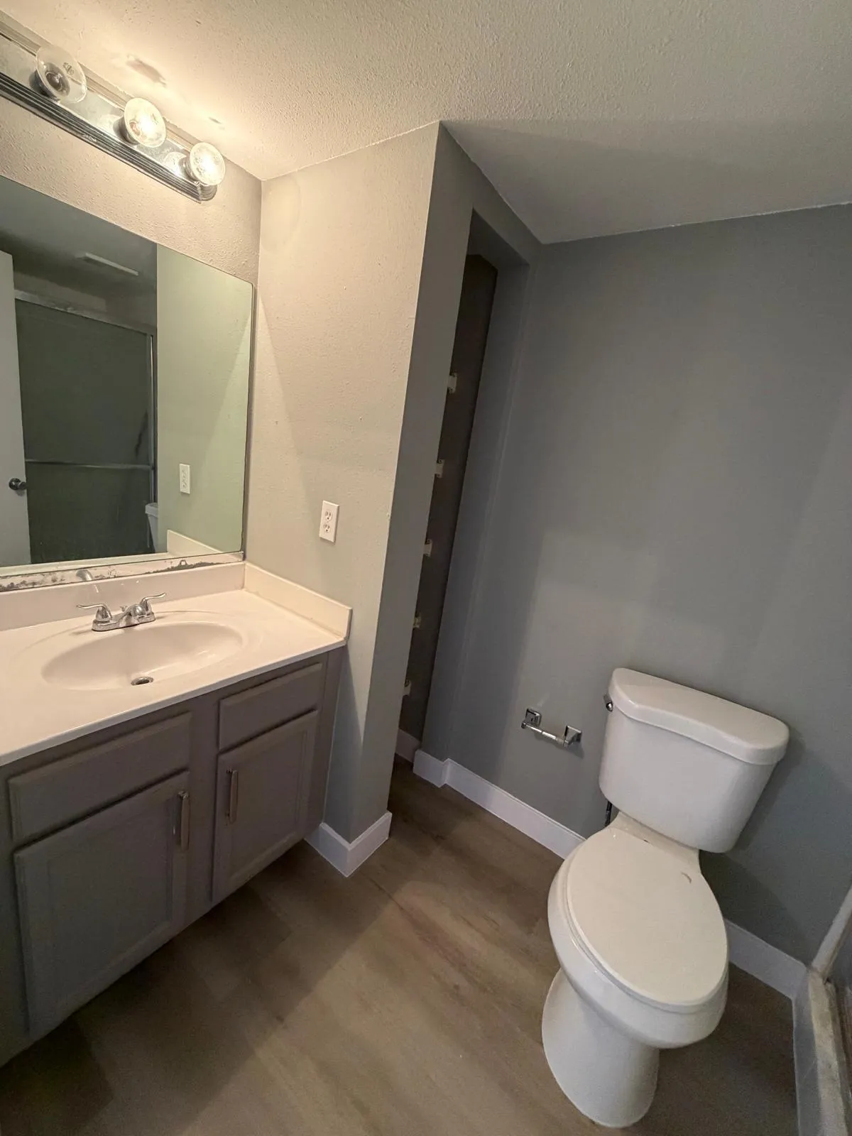 Bathroom featuring a gray vanity with an integrated sink, a large mirror, and light wood-finish flooring