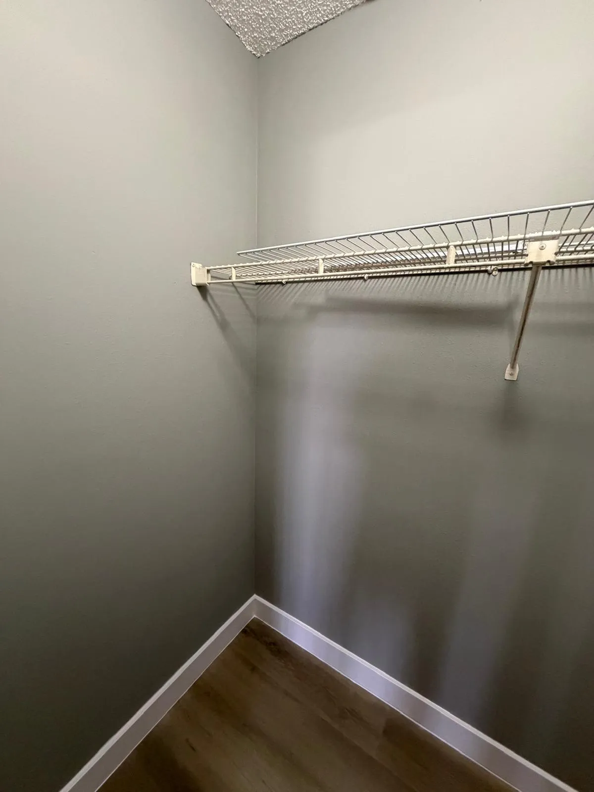Interior closet featuring a wire shelving system, light gray wall paint, white baseboards, and wood-finish flooring