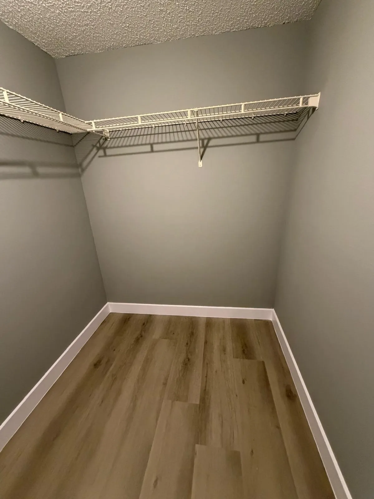 Walk-in closet featuring wood-finish flooring, white baseboards, and built-in wire shelving